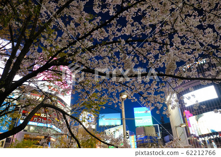 Cherry blossom in the neon city