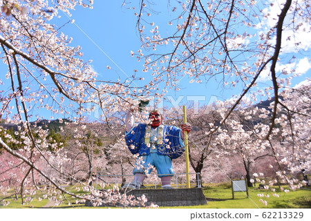 Big Tengu who enjoys the cherry blossoms in full bloom Big Tengu who enjoys the cherry blossoms in full bloom 62213329