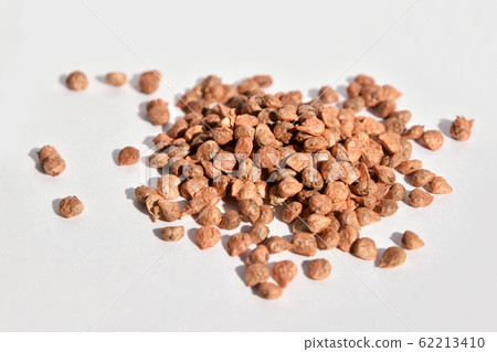 西菠菜種子 62213410