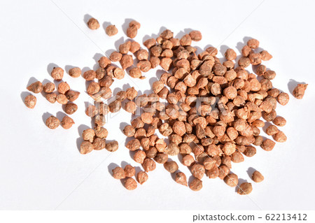 西菠菜種子 西菠菜種子 62213412