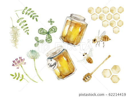 蜂蜜卡通插圖水彩插圖 蜂蜜卡通插圖水彩插圖 62214419