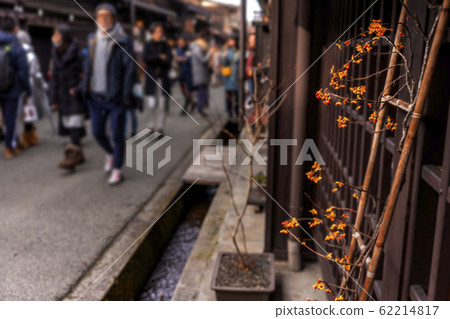 200104三町Z045 200104三町Z045 62214817