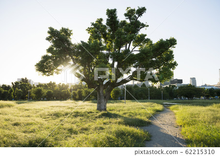 難波公園 62215310