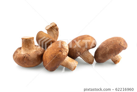 Shiitake mushroom on the White background Shiitake mushroom on the White background 62216960
