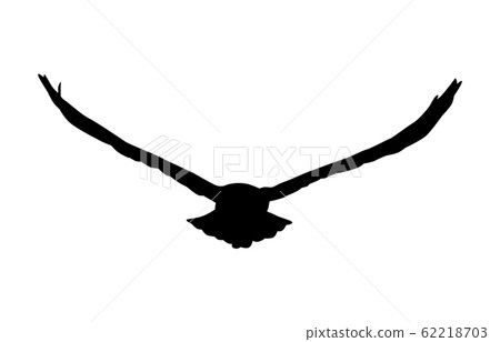 動物剪影鳥貓頭鷹4 動物剪影鳥貓頭鷹4 62218703