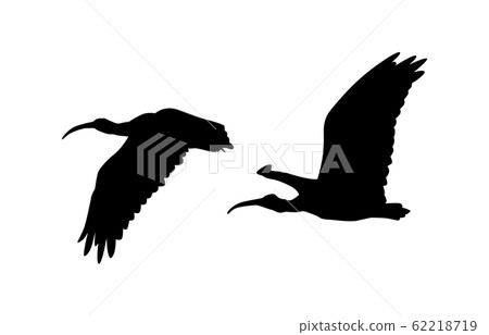 動物剪影鳥宜必思4 動物剪影鳥宜必思4 62218719