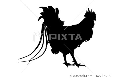 動物剪影鳥雞1 動物剪影鳥雞1 62218720