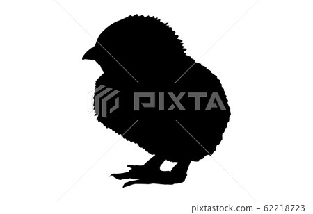 動物剪影鳥雞4 62218723