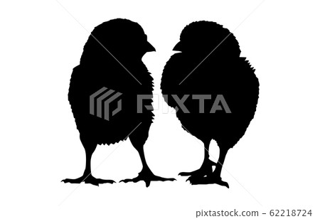 動物剪影鳥雞5 動物剪影鳥雞5 62218724