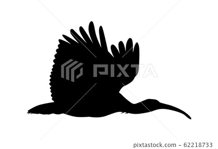 Animal silhouette bird ibis 1 Animal silhouette bird ibis 1 62218733