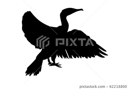 動物剪影鳥c 1 動物剪影鳥c 1 62218800