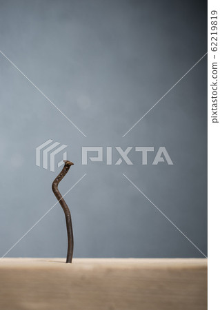 Bent nail driven into a board. Concept stoop, 62219819