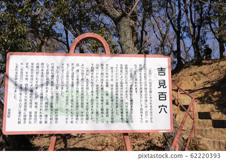 Yoshimi 100 Caves Yoshimi 100 Caves 62220393