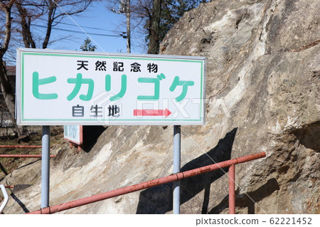 Yoshimi 100 Caves Yoshimi 100 Caves 62221452