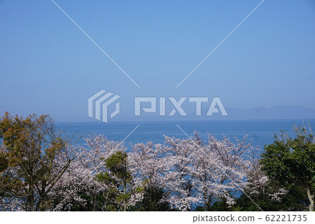 Sakura and the sea 62221735