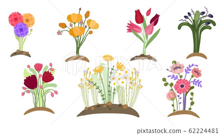 Forest flowers garden. Spring floral planting, simple gardening. Blossom fields, isolated bouquets growing. Springtime plants vector set Forest flowers garden. Spring floral planting, simple gardening. Blossom fields, isolated bouquets growing. Springtime plants vector set 62224481