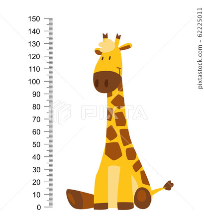 Sitting Cheerful funny giraffe with long neck. Height meter or meter wall or wall sticker from 0 to 150 centimeters to measure growth. Childrens vector illustration 62225011