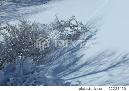 禦在所 禦在所 62225410