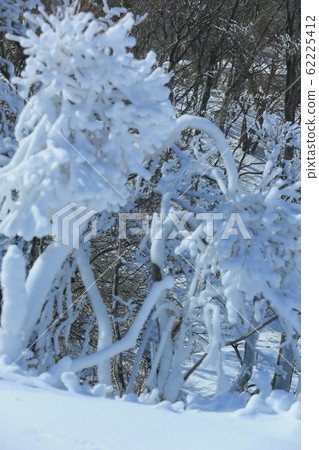 禦在所 禦在所 62225412