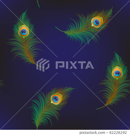 Peacock feathers Seamless pattern, background 62226292