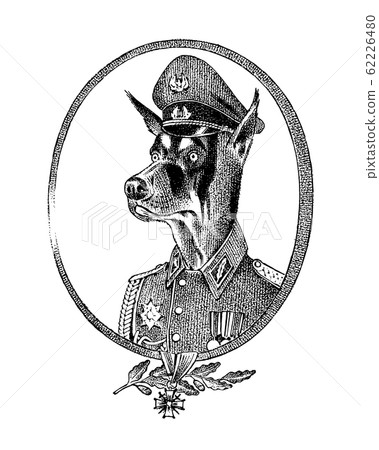 Military dog or Dobermann. Animal character or persona. Hand drawn portrait. Engraved monochrome Military dog or Dobermann. Animal character or persona. Hand drawn portrait. Engraved monochrome 62226480