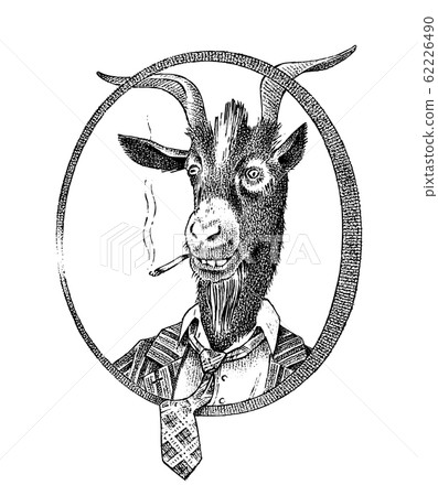 Smoking goat student or sheep. Hand drawn Animal person portrait. Engraved monochrome fashion sketch Smoking goat student or sheep. Hand drawn Animal person portrait. Engraved monochrome fashion sketch 62226490