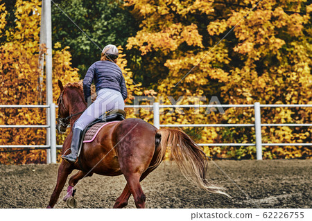 Young woman jockey in white black dress and black Young woman jockey in white black dress and black 62226755