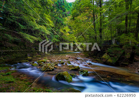 Akame Valley 5 Akame Valley 5 62226950