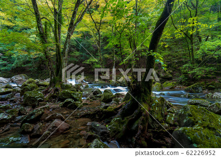 Akame Valley 7 62226952