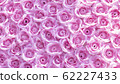 Spring forest close up flowers pink beautiful background 62227433