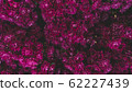 Spring forest close up flowers pink beautiful background 62227439