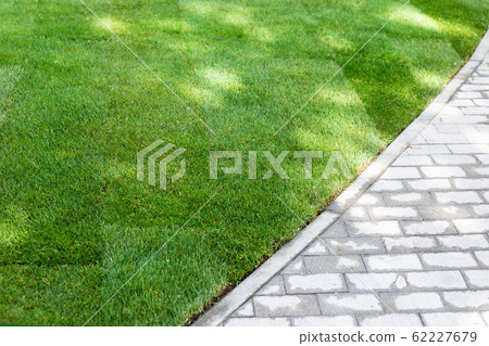 Straigh line of new freshly installed green rolled lawn grass carpet along stone pavement sidewalk at city park or backyard on bright sunny day. Green Gardening landcaping service Straigh line of new freshly installed green rolled lawn grass carpet along stone pavement sidewalk at city park or backyard on bright sunny day. Green Gardening landcaping service 62227679
