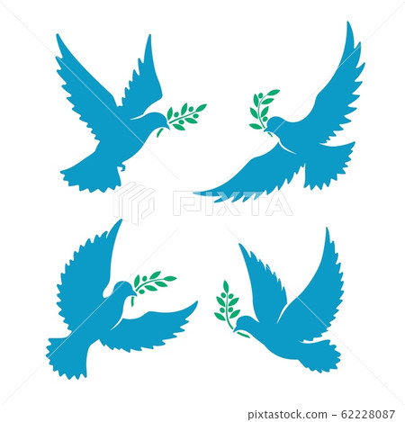 Flying pigeon with olive branch Flying pigeon with olive branch 62228087
