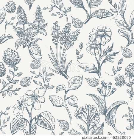 Herbs sketch seamless pattern Herbs sketch seamless pattern 62228090