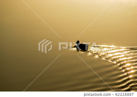 一隻鴨子來到了日出的水 62228887