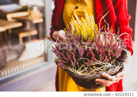 Florist woman sells heather flowers at a garden center. Florist woman sells heather flowers at a garden center. 62229311