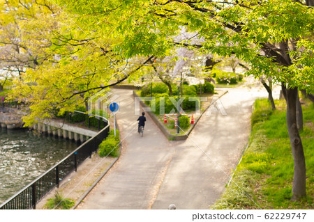 大阪市櫻馬宮公園 大阪市櫻馬宮公園 62229747