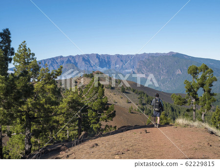 Volcanic landscape with lush green pine trees, colorful volcanoes and lava rock field along path Ruta de los Volcanes, hiking trail at La Palma island, Canary Islands, Spain, Blue sky background 62229815