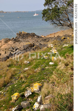 The Brittany coast in Loguivy 62230192