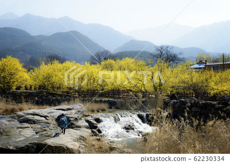 Gurye Sanshou 62230334