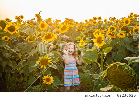 Happy child girl walking in sunflowers. Beautiful summer day Happy child girl walking in sunflowers. Beautiful summer day 62230629