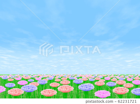 康乃馨字段副本空間 62231721