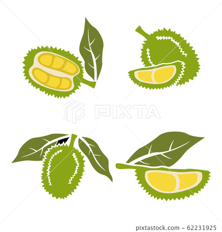 Flat Durian and cut piece vector with isolated white background.King of fruit.Tropical fruit. Flat Durian and cut piece vector with isolated white background.King of fruit.Tropical fruit. 62231925