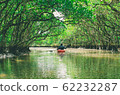 Mangrove tunnel and canoe 62232287