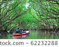 Parents and children enjoying canoeing in mangrove tunnels 62232288