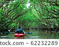 Parents and children enjoying canoeing in mangrove tunnels 62232289