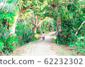 Kids running through tree tunnel 62232302