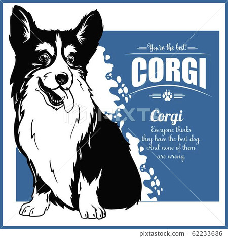 Corgi - vector template for t-shirt, logo and badges Corgi - vector template for t-shirt, logo and badges 62233686