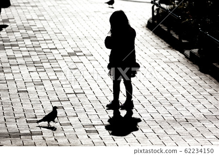 Silhouette of a pigeon floating in backlight, Yamashita Park in Yokohama, Kanagawa, Japan Silhouette of a pigeon floating in backlight, Yamashita Park in Yokohama, Kanagawa, Japan 62234150