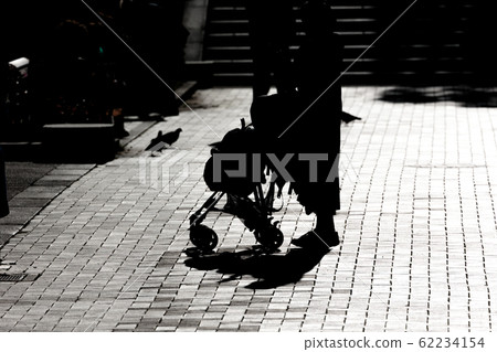 Silhouette of a pigeon floating in backlight, Yamashita Park in Yokohama, Kanagawa, Japan Silhouette of a pigeon floating in backlight, Yamashita Park in Yokohama, Kanagawa, Japan 62234154